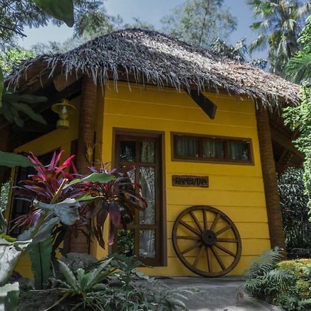 Forest Camp Valencia  Ngoại thất bức ảnh