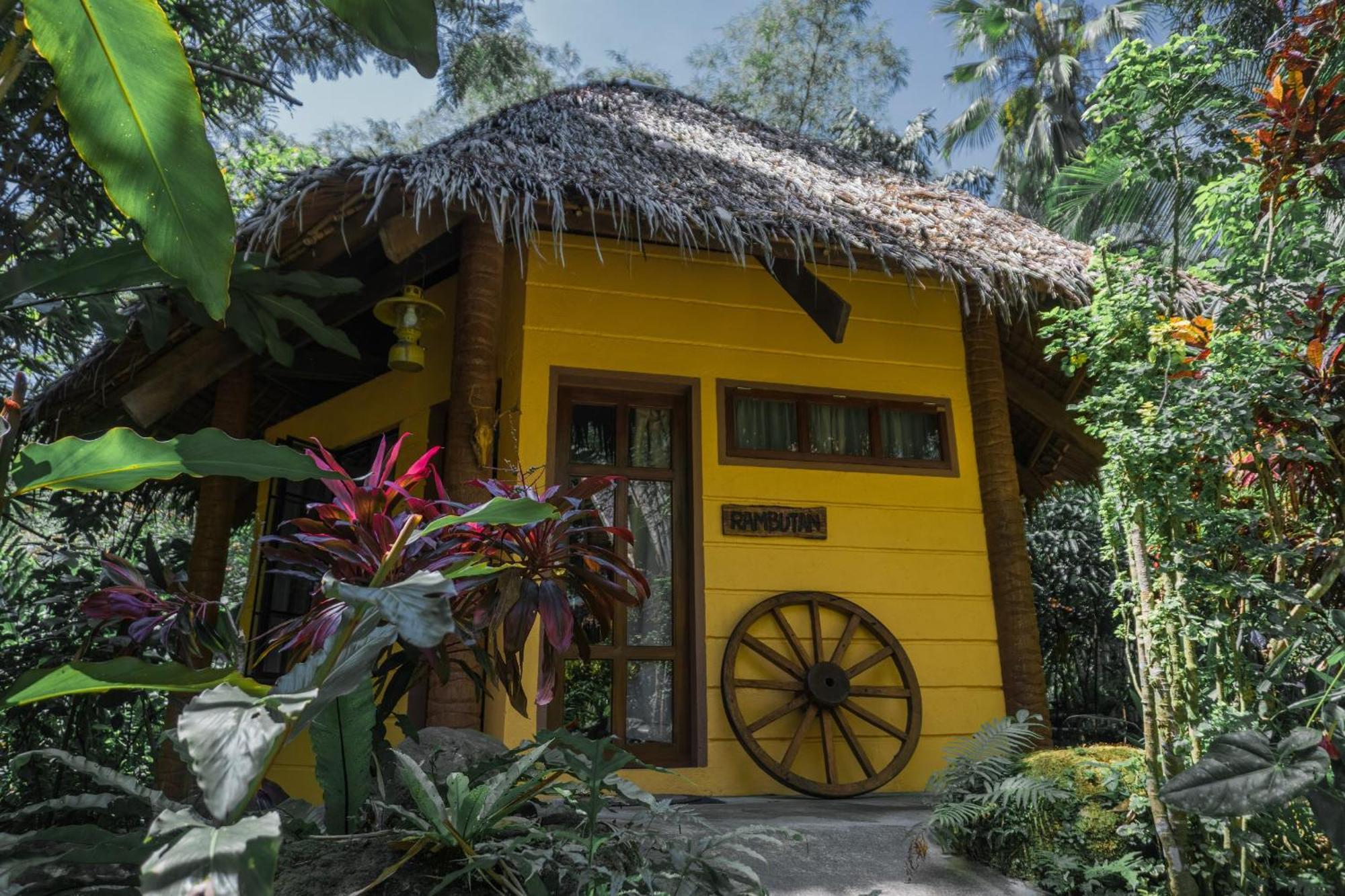 Forest Camp Valencia  Ngoại thất bức ảnh