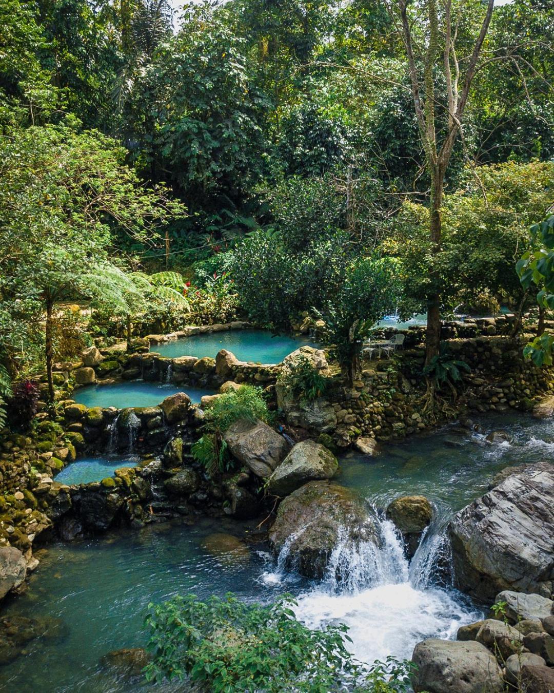 Forest Camp Valencia  Ngoại thất bức ảnh