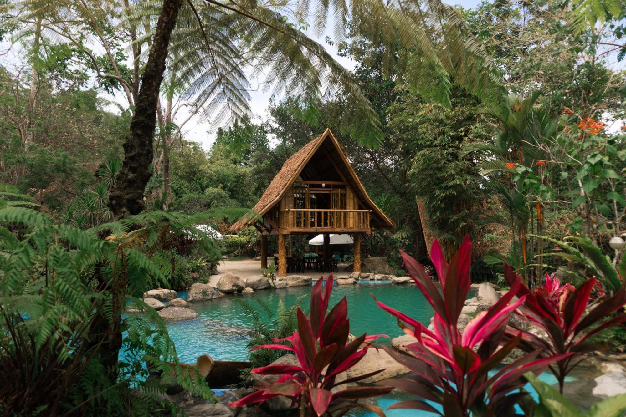 Forest Camp Valencia  Ngoại thất bức ảnh